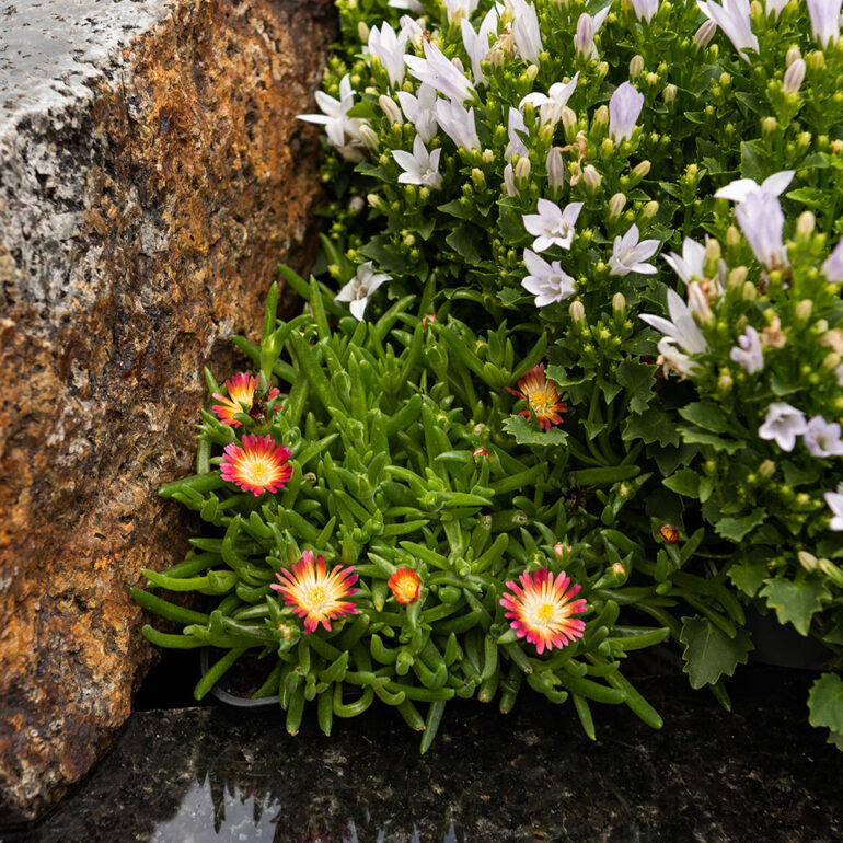 Artystyczne Nagrobki Podhale - Gronków